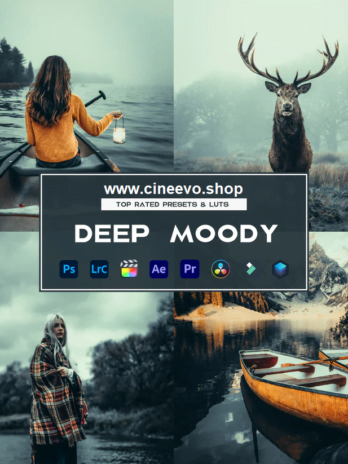 Deep moody presets & Luts