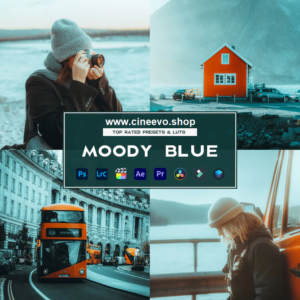 MOODY BLUE