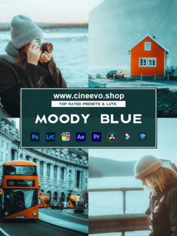 Moody Blue Preset & Luts