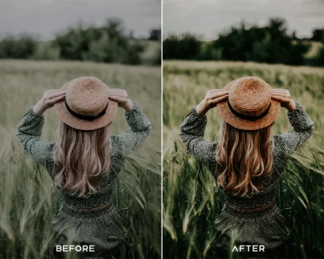 Earthy Presets & Luts - Image 6