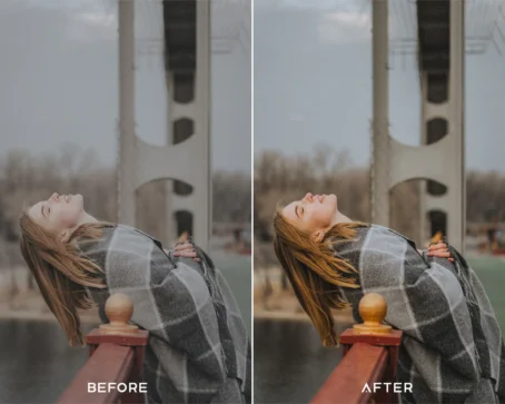 Natural style presets & luts - Image 5